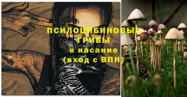 амф Саяногорск