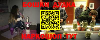 кокс Гатчина