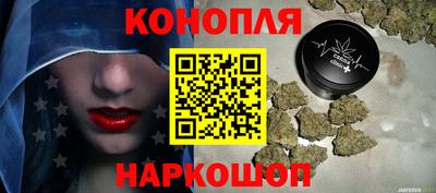 кокс Гатчина