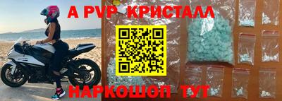 кокс Гатчина