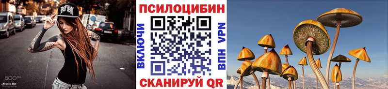 блэк спрут зеркало Донецк Галлюциногенные грибы Psilocybe что такое наркотик