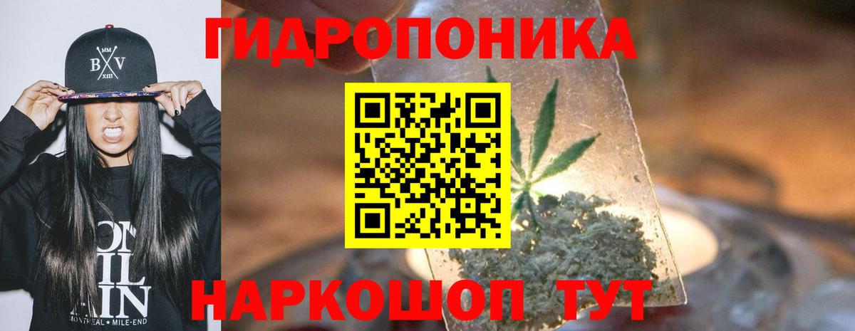 Шишки марихуана White Widow  Бошки марихуана сатива  Донецк  Марихуана план  Вход с VPN  Каннабис VHQ 